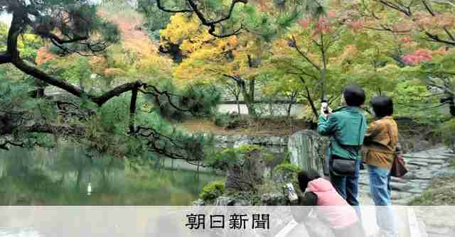 AI判定は「シイタケ」食べたら毒キノコ　国「検索は参考程度に…」 [AIの時代]