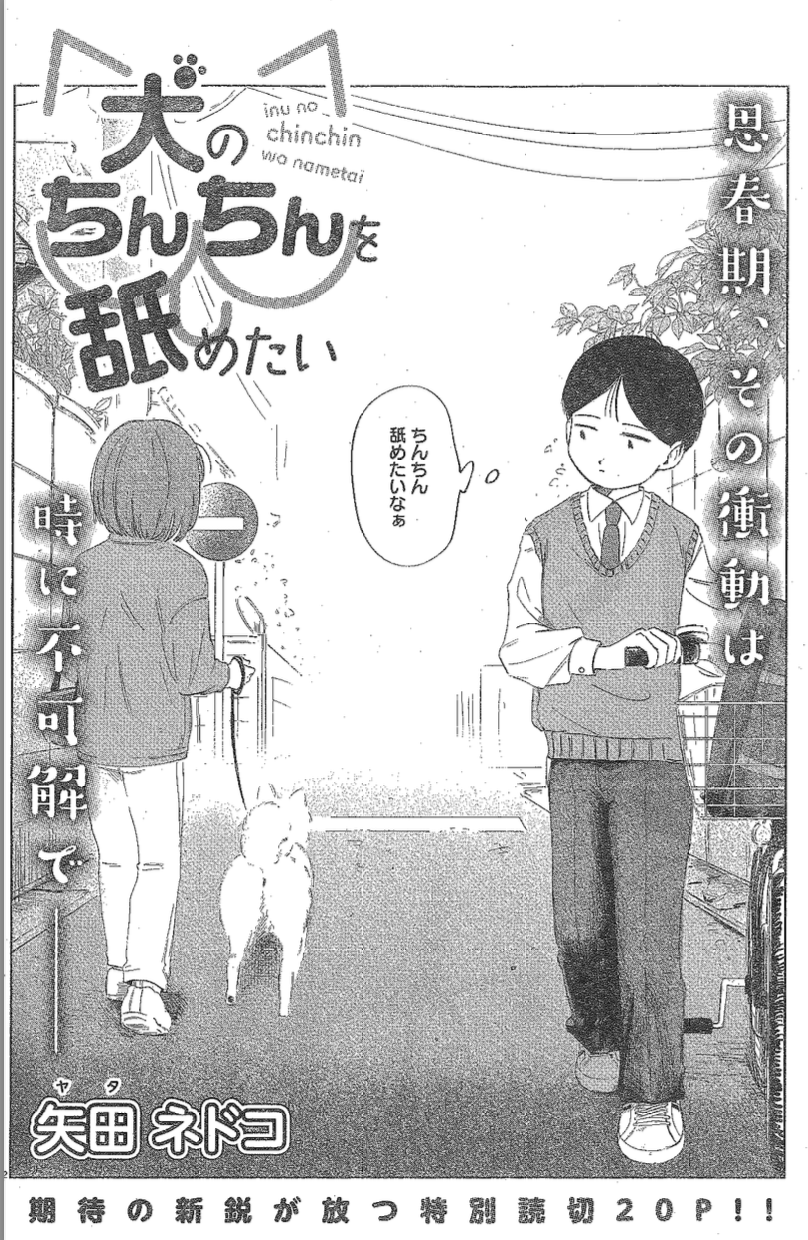 チームみらい、比例公認候補が公認辞退　問い合わせフォームに経歴情報寄せられ「重要情報」発覚