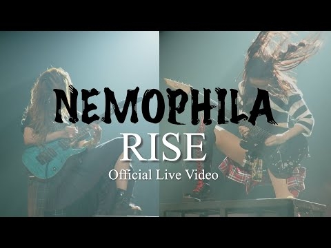 NEMOPHILA / RISE [Official Live Video]