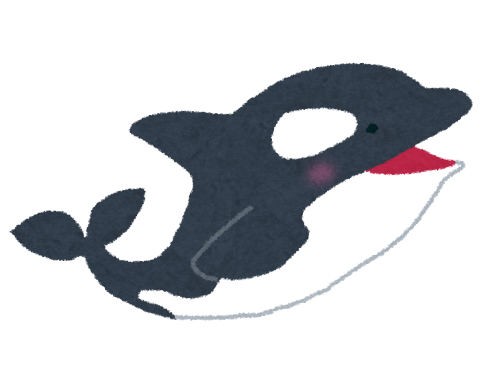 シャチについて語りたい
