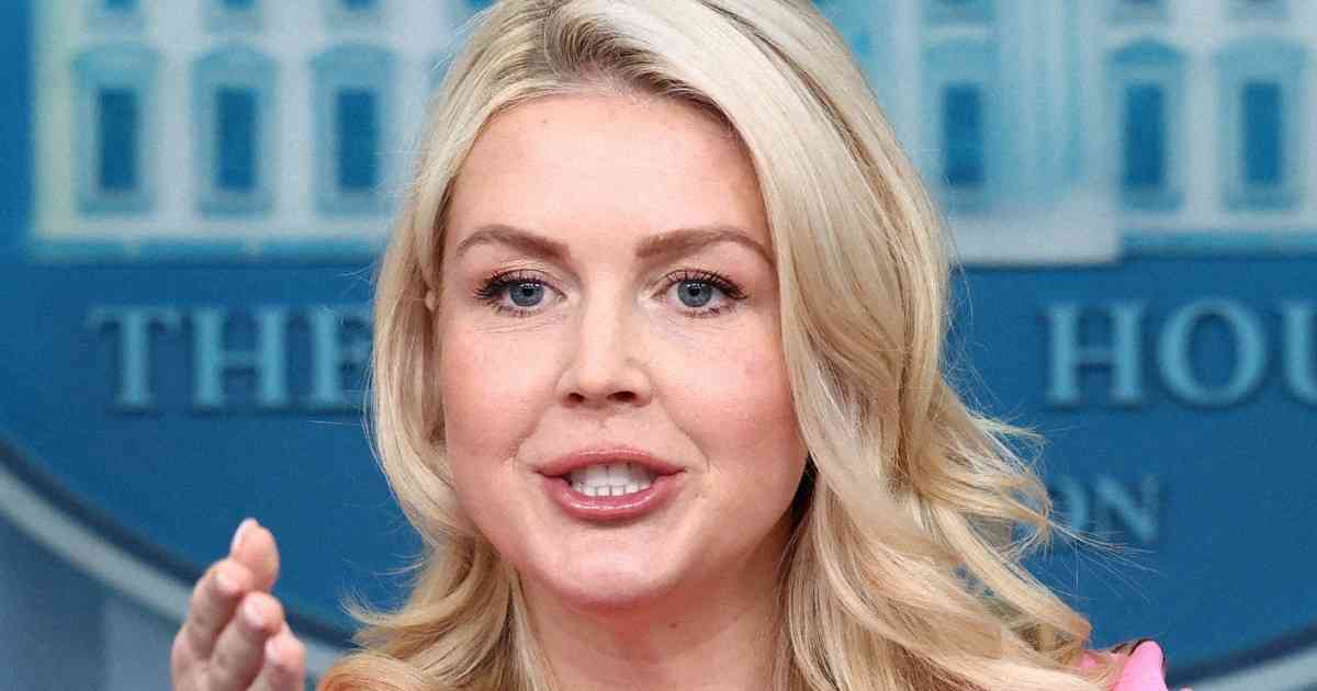 トランプ氏、湾岸諸国に対イラン戦費負担を要求の考え　米報道官 | 毎日新聞
