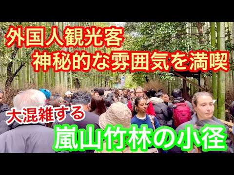 2026年3月19日 外国人観光客は竹林のトンネルで神秘的な雰囲気を満喫 大混雑する嵐山竹林の小径を歩く Walking along the Arashiyama Bamboo Grove Path