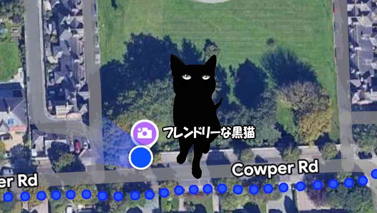 Googleマップに「フレンドリーな黒猫」のマークを発見、行ってみると本当だった | カラパイア