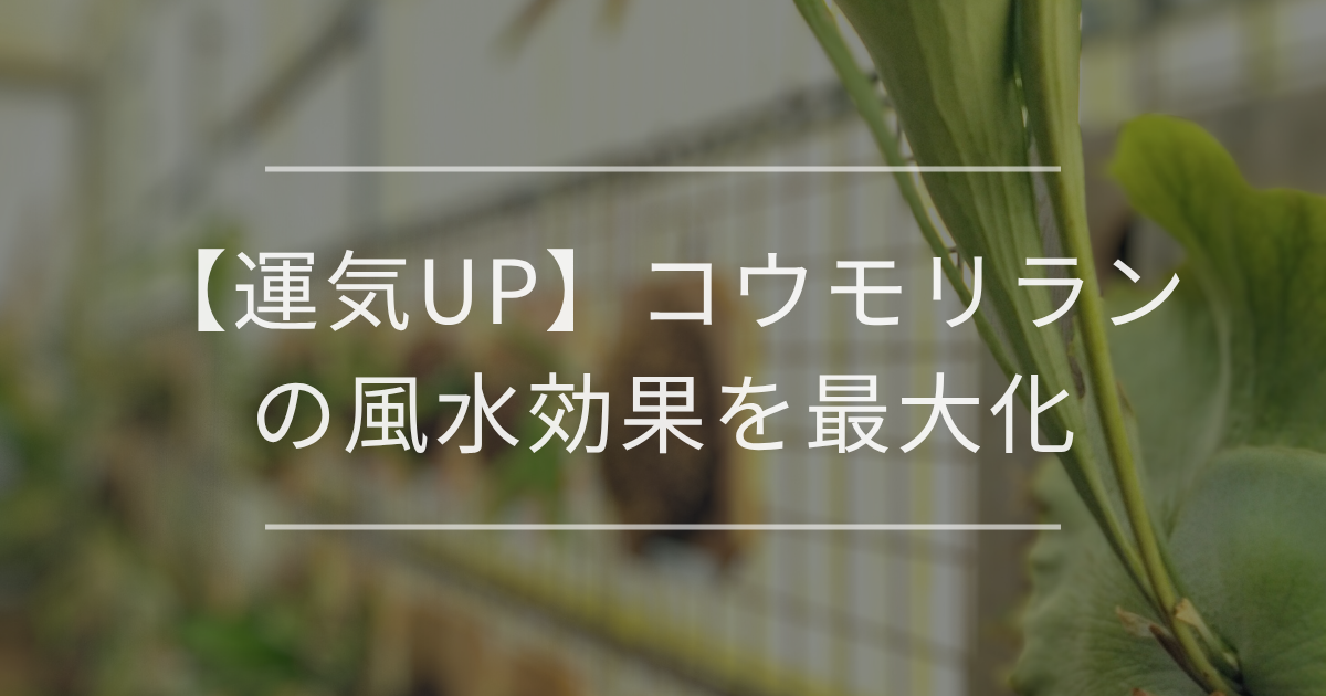 【運気UP】コウモリランの風水効果を最大化｜置き場所や方角 | 観葉植物の通販 AND PLANTS (アンドプランツ)