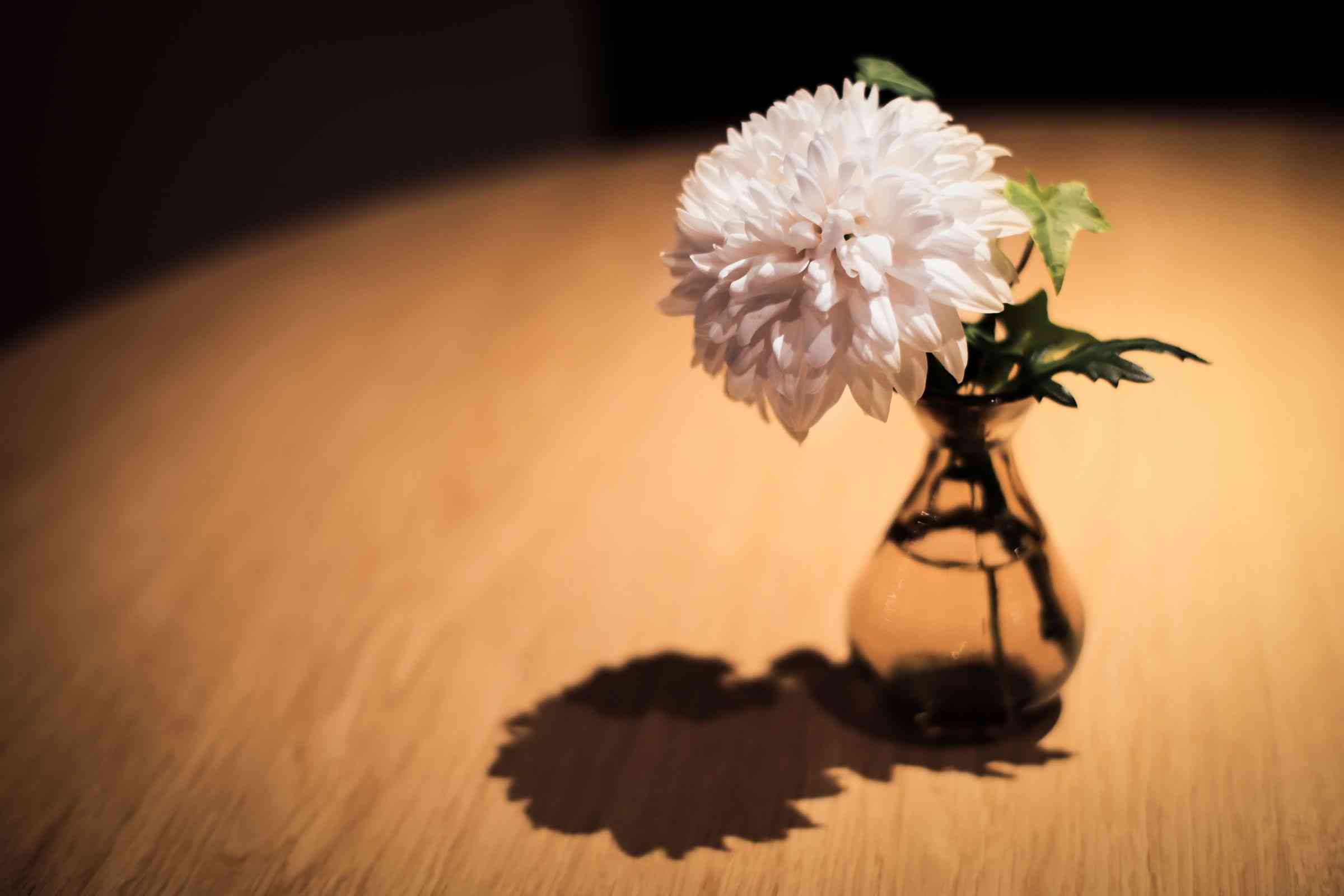 孤独死について…