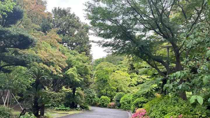 話題のパワースポットもある上品な高級住宅街――品川区池田山の魅力を散策 | Precious.jp（プレシャス）
