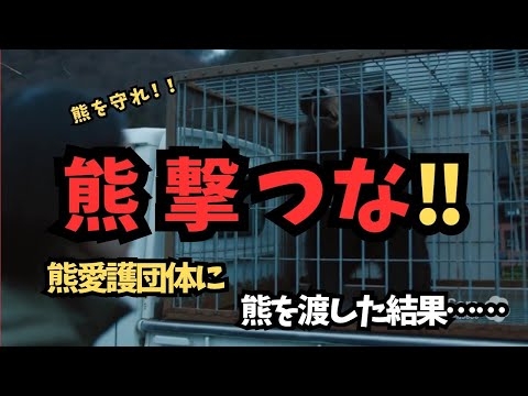「熊を守れ」と抗議した愛護団体に、本当に熊を渡した結果…