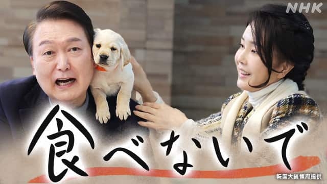韓国“犬食”禁止へ 伝統の食文化か動物虐待か ユン・ソンニョル大統領夫人で愛犬家のキム・ゴニ氏も反対 波紋広がる | NHK | NHKニュース