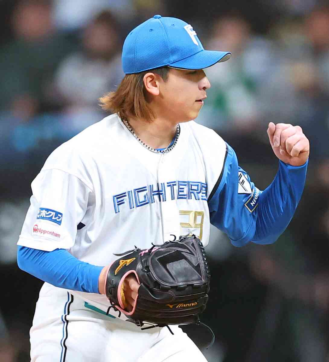 【日本ハム】細野晴希がノーヒットノーラン…史上９１人目１０３度目の達成、球団では２２年ポンセ以来 - スポーツ報知