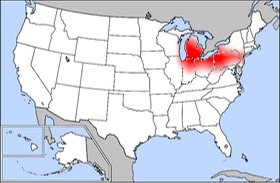 ラストベルト - Wikipedia
