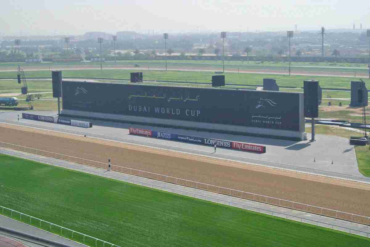 ドバイ遠征の関西馬は18日に関空から出国へ　ダノンデサイル、ミュージアムマイルなど12頭　JRA発表（スポニチアネックス） - Yahoo!ニュース