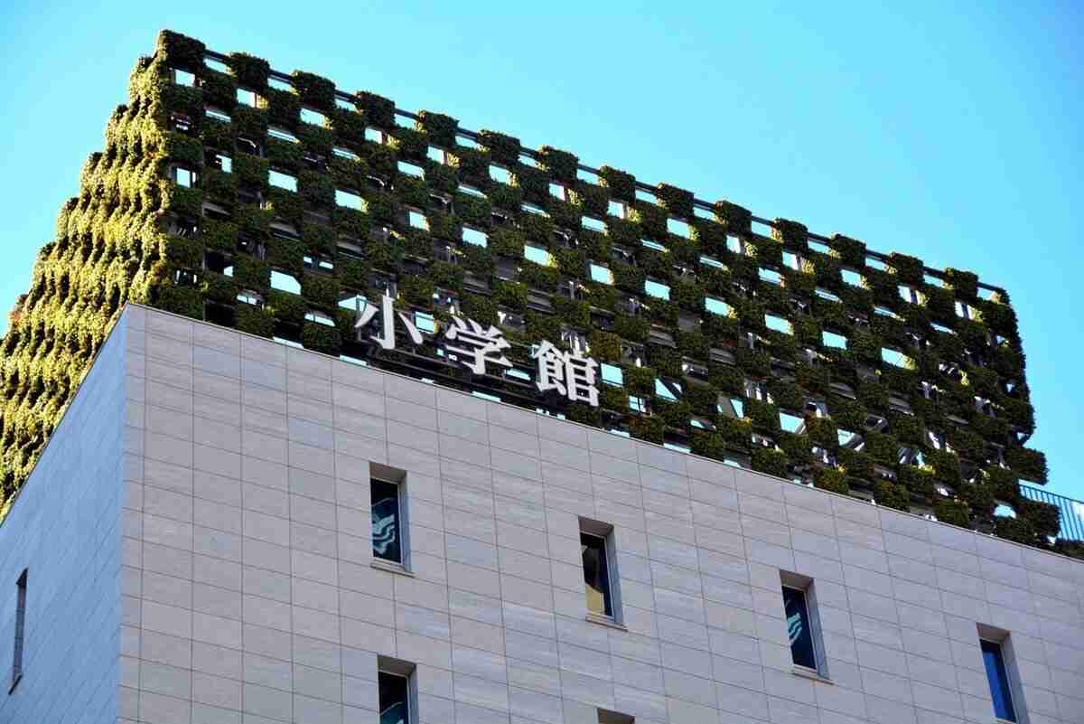 性加害作者を「別名義」で隠した小学館「マンガワン」の判断… “中居騒動”と重なる「才能至上主義」の構図（AERA DIGITAL） - Yahoo!ニュース