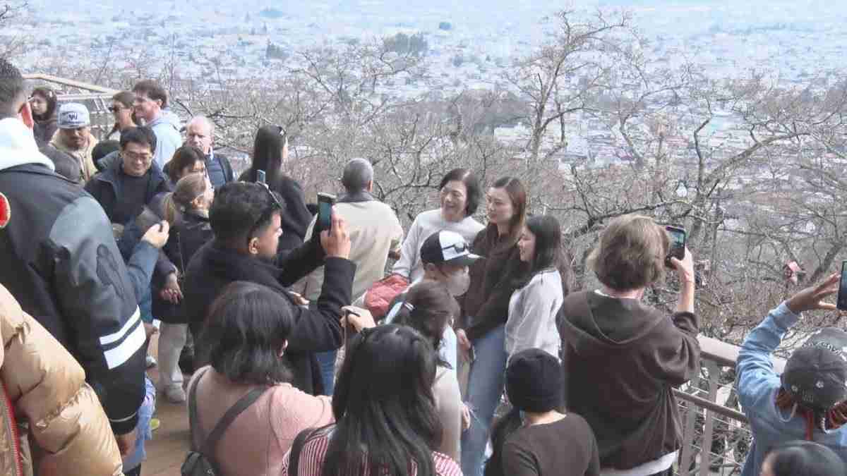 桜まつり中止でも観光客殺到 迷惑行為に住民疲弊「注意しても無駄」 山梨・富士吉田市