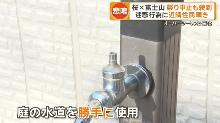 桜まつり中止でも観光客殺到 迷惑行為に住民疲弊「注意しても無駄」 山梨・富士吉田市