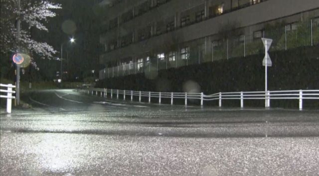 愛知県瀬戸市で車3台が衝突、85歳女性が死亡　ひき逃げ容疑で19歳の大学生の男を逮捕- 名古屋テレビ【メ～テレ】