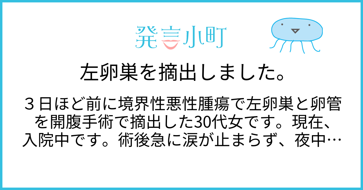 左卵巣を摘出しました。 | 心や体の悩み | 発言小町
