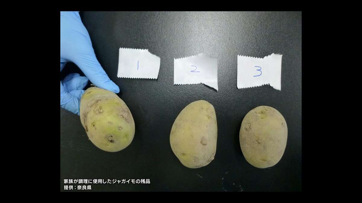 「ジャガイモによる食中毒」が奈良県で発生　国内では2年ぶりの公式確認　ポトフ食べた家族が喉の違和感や吐き気　重症者はなし　加熱予防が効かない有毒成分「ソラニン類」に注意 | MBSニュース | 関西の最新ニュースを分かりやすく。
