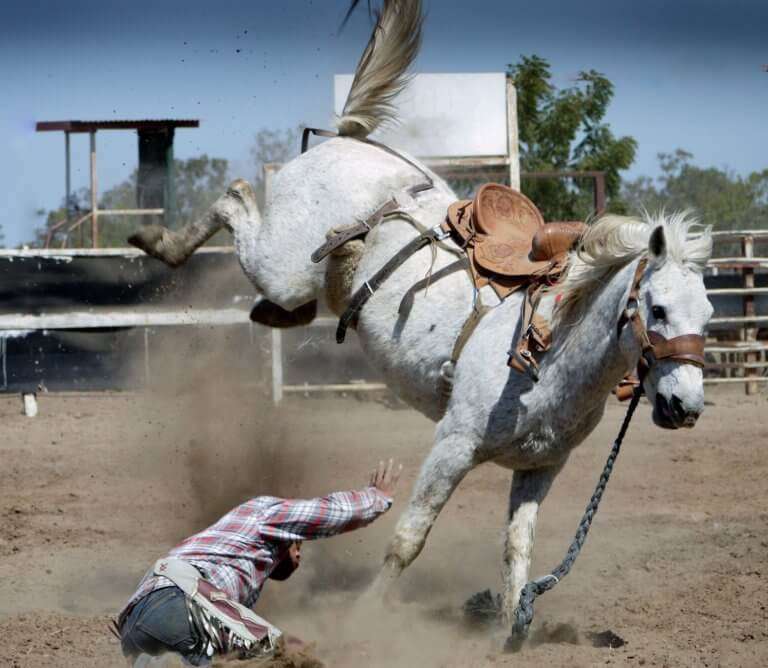 「コラ! ふざけるな!」仔馬を殴る蹴る...動画拡散で波紋 競走馬牧場は「しつけ」と説明、北海道「対応を検討」