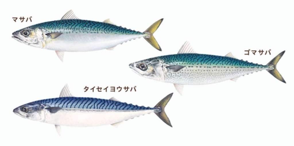 この芸能人といえばこの髪型・髪色