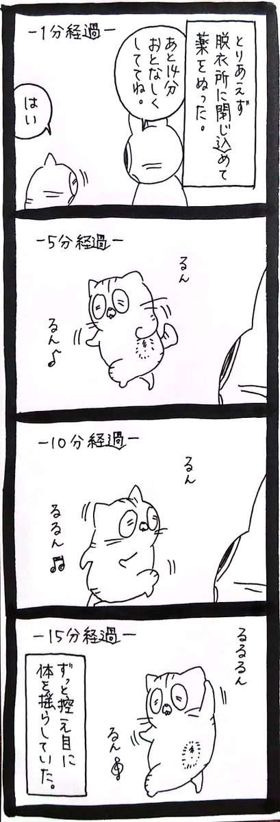 猫エッセイを語りたい