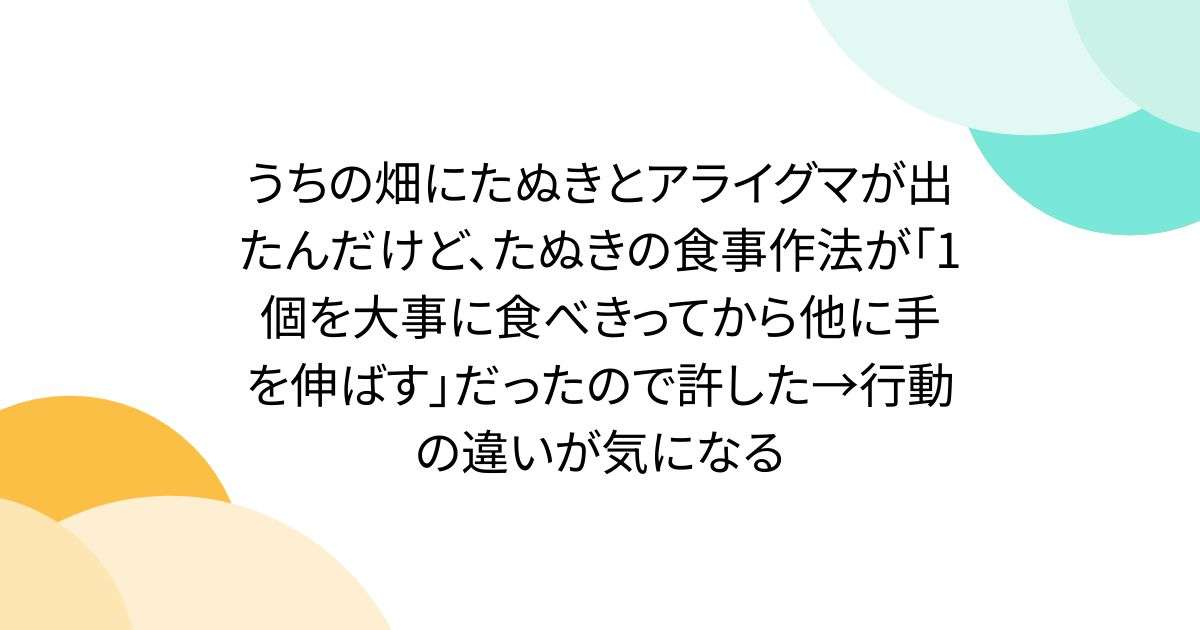 うちの畑にたぬきとアライグマが出たんだけど、たぬきの食事作法が「1個を大事に食べきってから他に手を伸ばす」だったので許した→行動の違いが気になる - Togetter