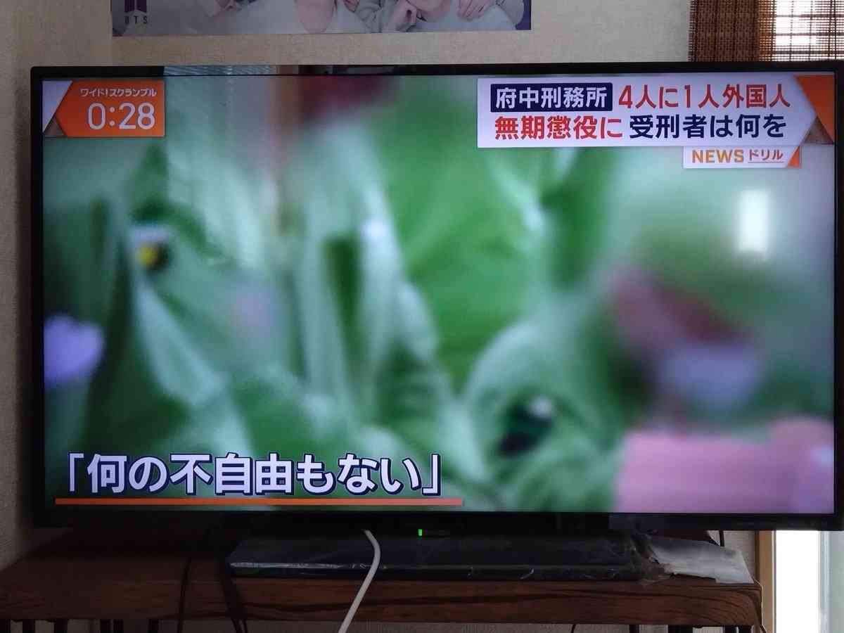 絶対に厳罰化して欲しいこと