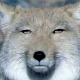 上司の理不尽だなーと思ったエピソード