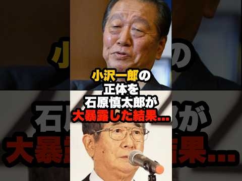 小沢一郎の正体を石原慎太郎が大暴露した結果… #石原慎太郎 #政治 #小沢一郎