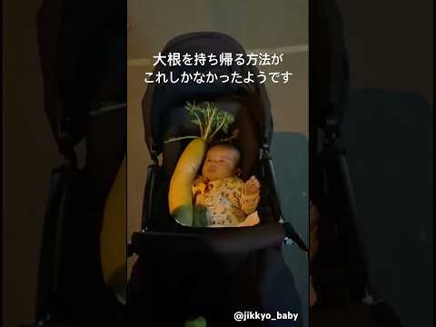 気遣いあう赤ちゃんと大根 #baby #大根 #親子 #実況 #実況ベイビー 62chanchiさんより！