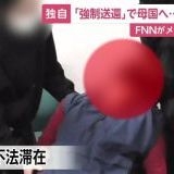 >>6正確には通報してその対象者に強制退去命令が出たらもしその時に不法滞在者が3... | ガールズちゃんねる - Girls Channel -
