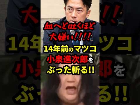 ㊗️205万再生！小泉進次郎に騙されるな!!14年前のマツコ・デラックス本質を見抜く