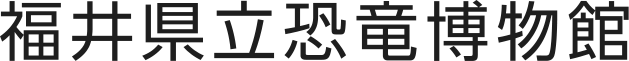 サイトポリシー｜その他｜FPDM: 福井県立恐竜博物館