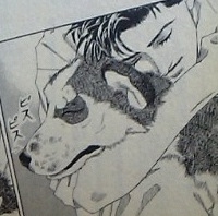 【漫画家】佐々木倫子さんの漫画を語りましょう