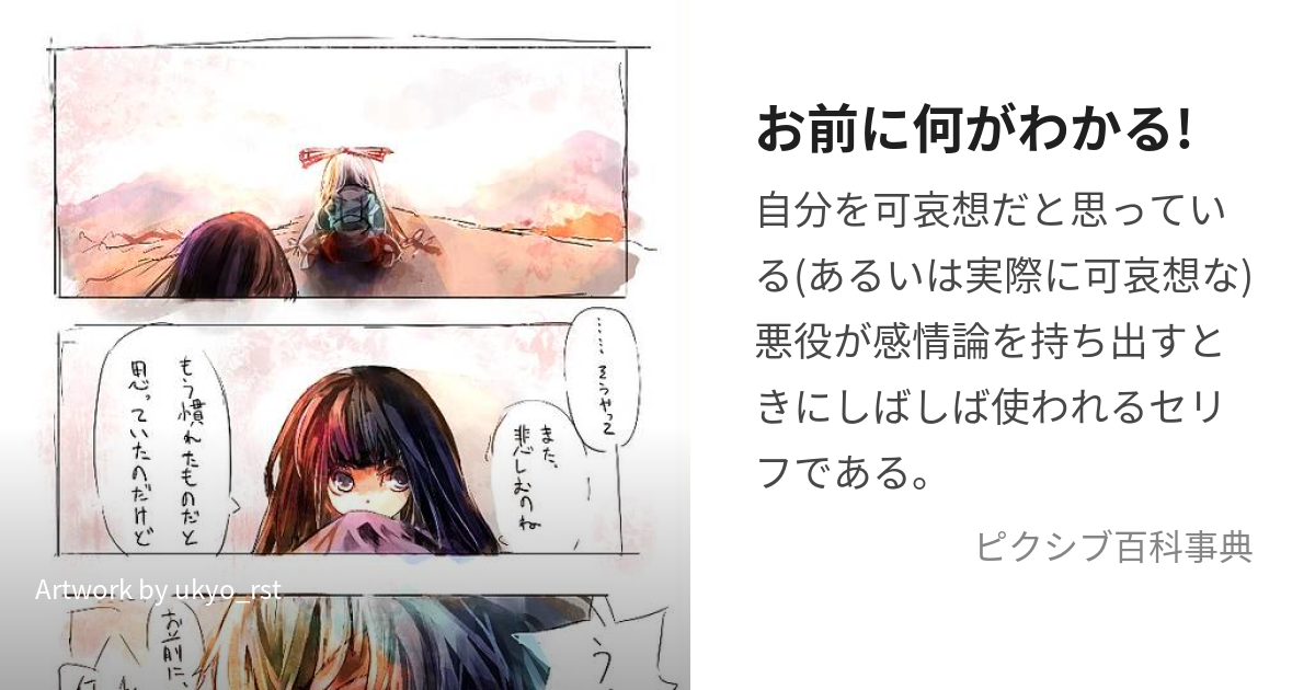 お前に何がわかる! (おまえになにがわかる)とは【ピクシブ百科事典】