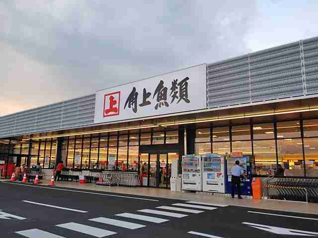 大型鮮魚店「角上魚類」について語ろう