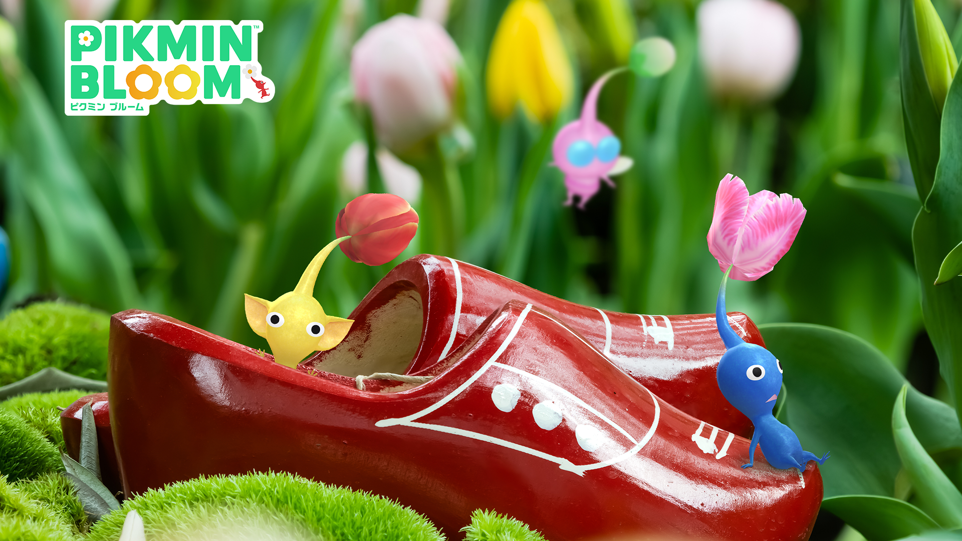 Pikmin Bloom（ピクミンブルーム）ピクミンとおでかけしよう🌷Part.29🌷