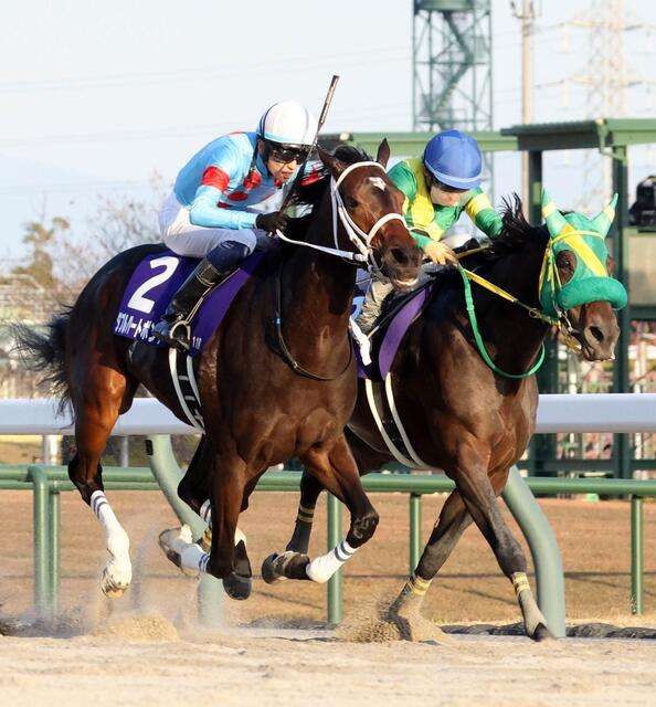 競馬について語ろう🏇【パート2】