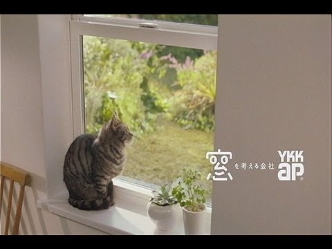 流れてると見ちゃうCM