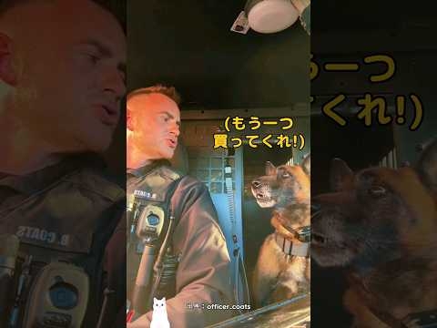 警察官が毎日スタバに通う理由