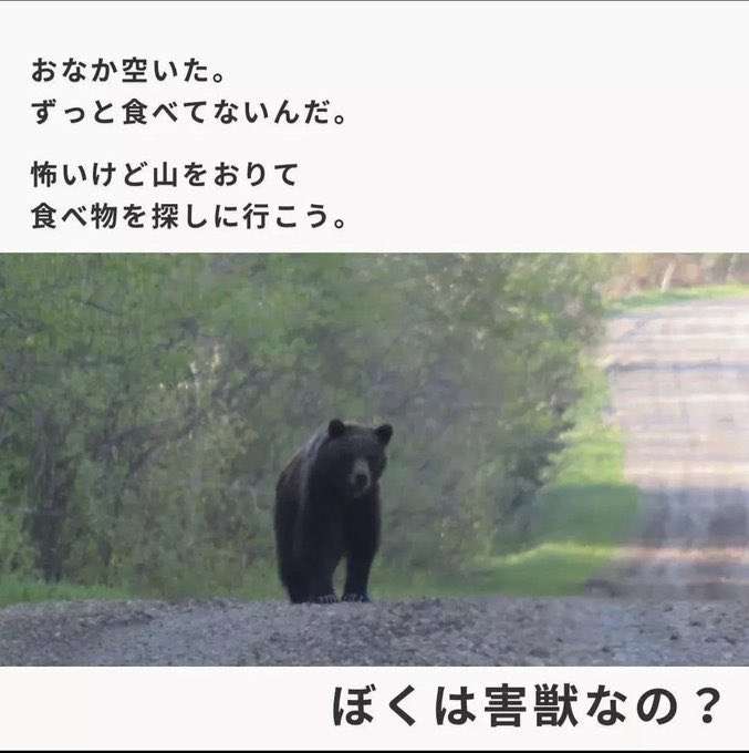「権利の濫用」クマハンター猟銃許可取り消しは違法と最高裁判断　原告のハンターが逆転勝訴「ハンターが発砲することをためらわせ、萎縮させている」北海道公安委員会の処分を取り消し