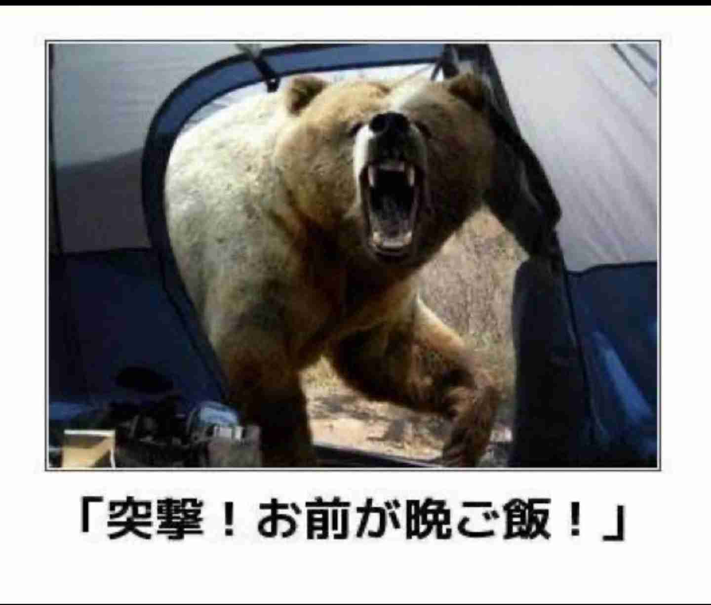 「権利の濫用」クマハンター猟銃許可取り消しは違法と最高裁判断　原告のハンターが逆転勝訴「ハンターが発砲することをためらわせ、萎縮させている」北海道公安委員会の処分を取り消し