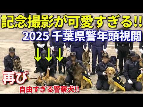 【警察犬編】伝説再び!! 記念撮影で自由すぎる警察犬がカワイイ!! 2025 千葉県警年頭視閲前編 Very cute Chiba prefectural police dog K-9 unit