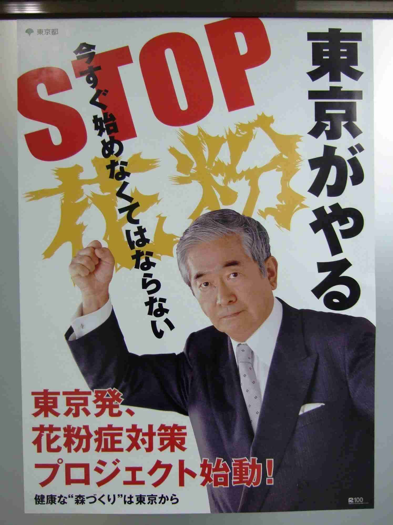 花粉ゼロ！“夢の”スギの木の母樹が7本誕生！東京都育成の「心晴れ不稔1号」花粉症患者の救世主となるか