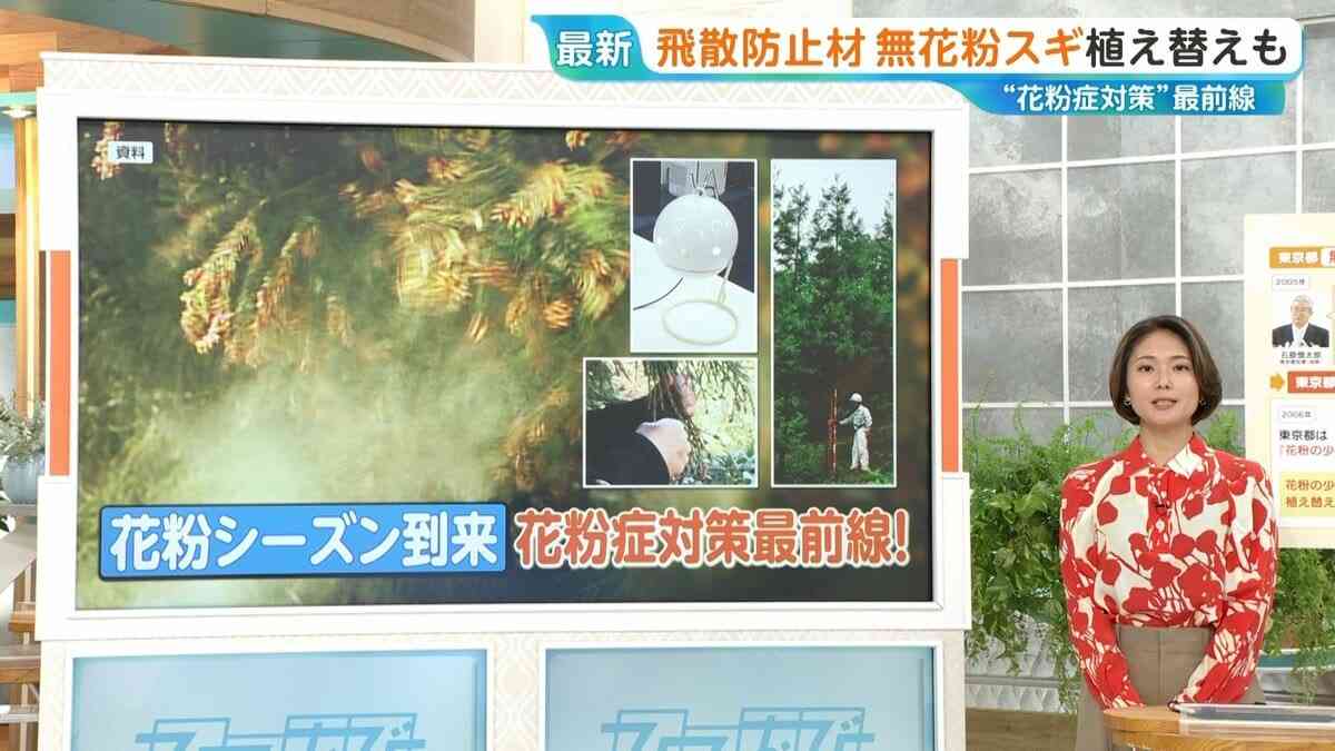 東京都「無花粉スギ」で花粉ゼロに？2030年には年間10万本の苗木の生産へ