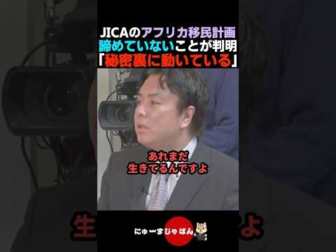 【マジかよ】JICAのアフリカホームタウン計画がまだ秘密裏に進行中だと判明する...【自民党/参政党/日本保守党/河合ゆうすけ】