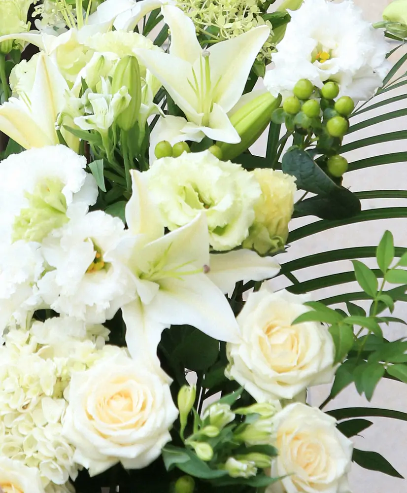 【記事全文】声優・池田昌子さん死去　87歳脳出血　銀河鉄道メーテル役、ヘプバーン吹き替え - スポニチ Sponichi Annex 芸能