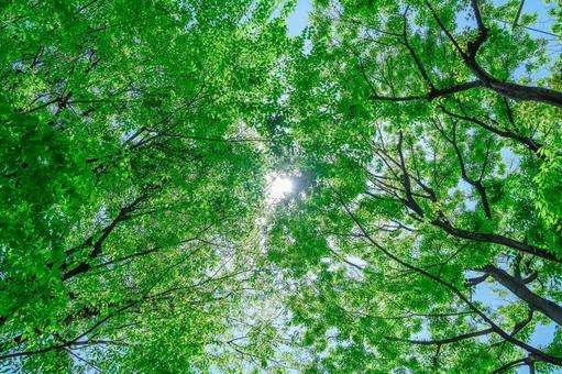 引き寄せについて語ろうPart70