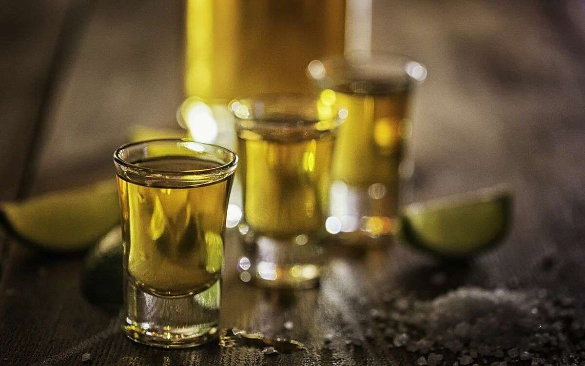 「テキーラ事件はいつ起きてもおかしくなかった」元六本木キャバクラ嬢が語る、港区の実態 | 文春オンライン