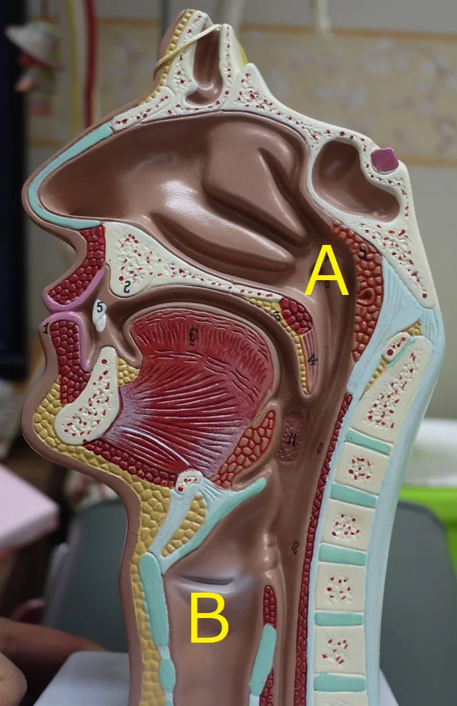 喉の痛み軽減するには？