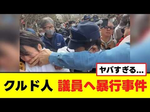 【衝撃】クルド人、議員へ暴行事件を起こす動画が話題に